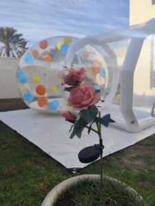 WhatsApp Image 2025-12-22 at 14.45.26